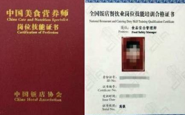 电竞历史考证行业历史研究资格